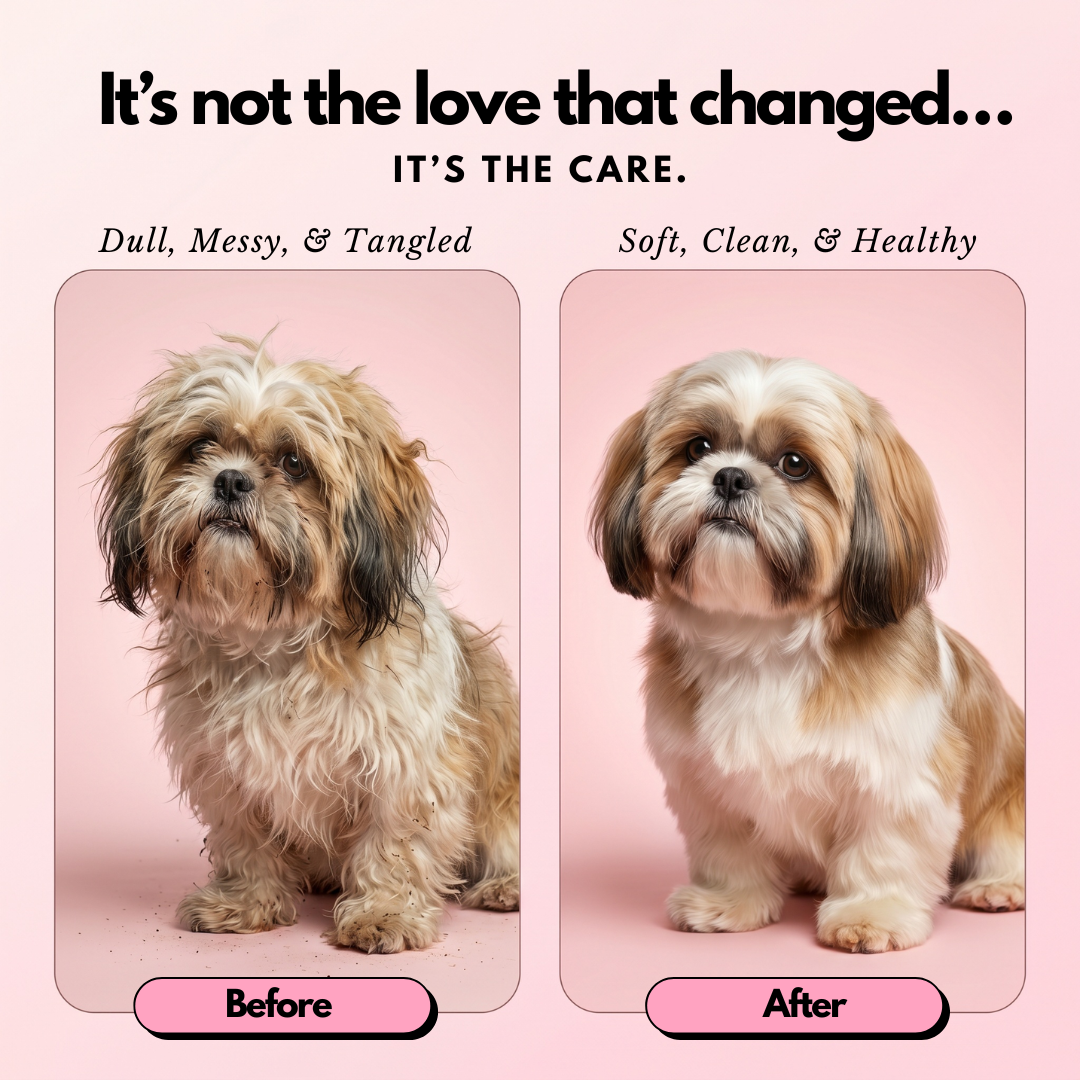 Goofy Pookie All-in-One Gentle Care Shampoo for Dogs & Cats (250ml)